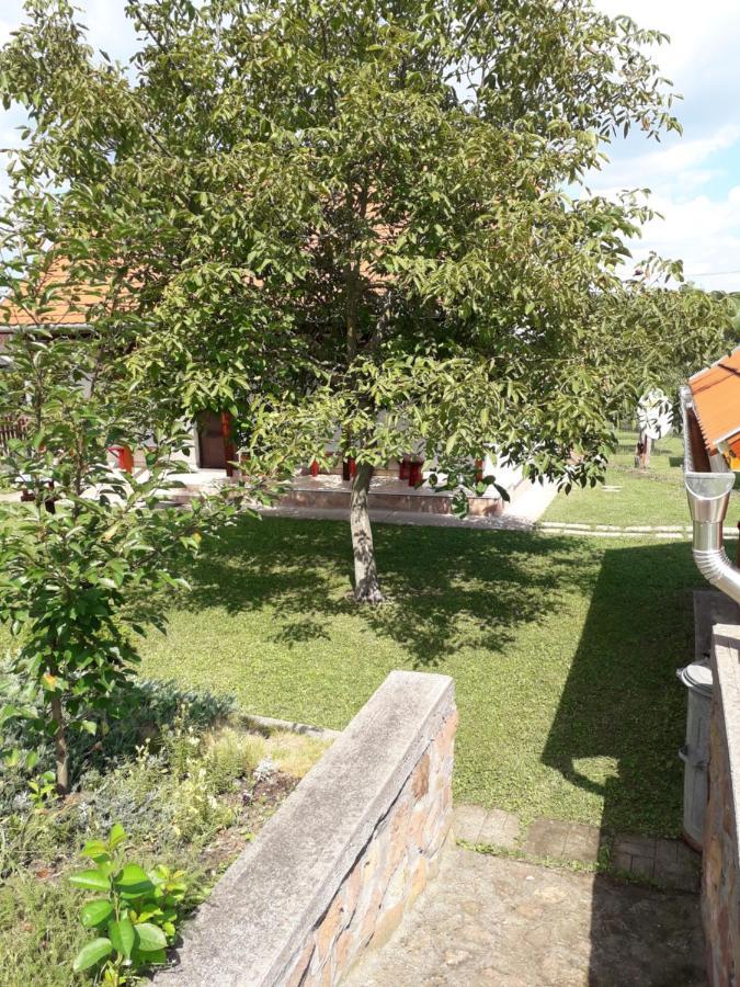 Matyas Apartman Tard Eksteriør bilde